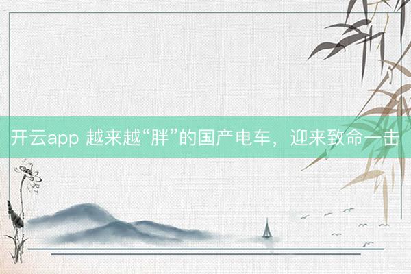 开云app 越来越“胖”的国产电车，迎来致命一击